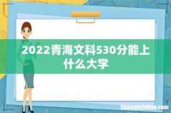 2022青海文科530分能上什么大学