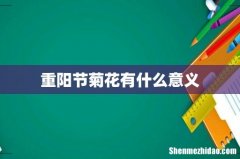 重阳节菊花有什么意义