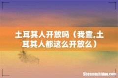 我靠,土耳其人都这么开放么 土耳其人开放吗