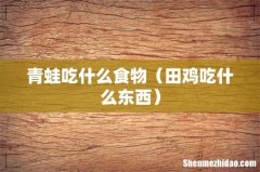 田鸡吃什么东西 青蛙吃什么食物