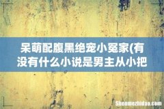 有没有什么小说是男主从小把女主宠到大的或养到大的现代言情小说 呆萌配腹黑绝宠小冤家