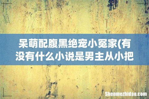 有没有什么小说是男主从小把女主宠到大的或养到大的现代言情小说 呆萌配腹黑绝宠小冤家