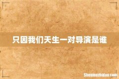 只因我们天生一对导演是谁
