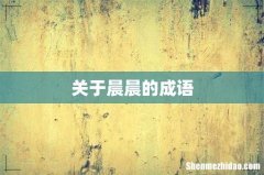 关于晨晨的成语