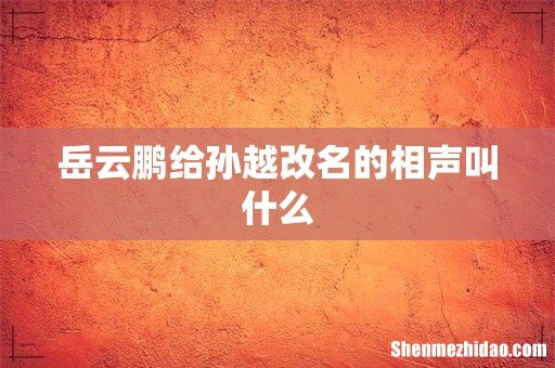 岳云鹏给孙越改名的相声叫什么