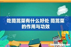 吃茼蒿菜有什么好处 茼蒿菜的作用与功效