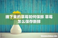 摘下来的草莓如何保鲜 草莓怎么保存新鲜