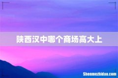 陕西汉中哪个商场高大上