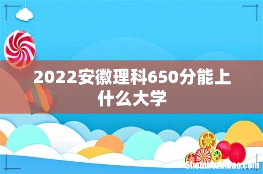 2022安徽理科650分能上什么大学