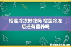 榴莲冷冻好吃吗 榴莲冷冻后还有营养吗
