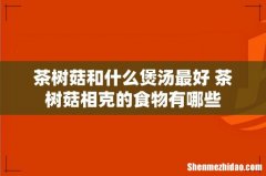 茶树菇和什么煲汤最好 茶树菇相克的食物有哪些