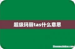 超级玛丽tas什么意思