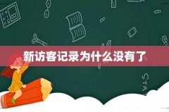 新访客记录为什么没有了