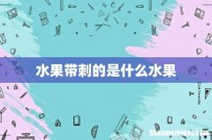 水果带刺的是什么水果