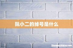 阮小二的绰号是什么