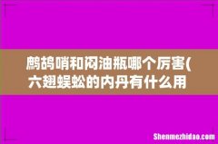 六翅蜈蚣的内丹有什么用 怒晴湘西六翅蜈蚣最后怎么死的 鹧鸪哨和闷油瓶哪个厉害