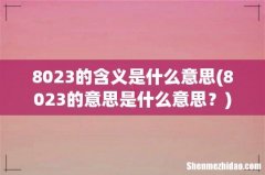 8023的意思是什么意思？ 8023的含义是什么意思