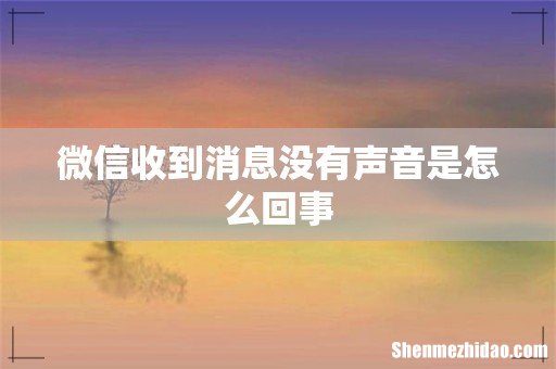 微信收到消息没有声音是怎么回事