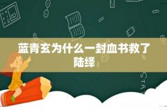 蓝青玄为什么一封血书救了陆绎