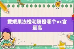 爱媛果冻橙和脐橙哪个vc含量高