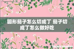圆形茄子怎么切成丁 茄子切成丁怎么做好吃