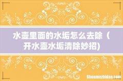 水壶里面的水垢怎么去除（开水壶水垢清除妙招)