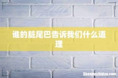 谁的脏尾巴告诉我们什么道理