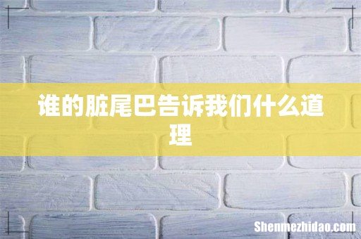 谁的脏尾巴告诉我们什么道理