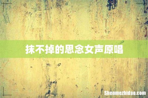 抹不掉的思念女声原唱