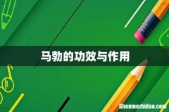 马勃的功效与作用