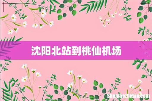 沈阳北站到桃仙机场