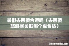 去西藏旅游寒暑假哪个更合适 暑假去西藏合适吗