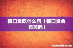 猫口炎会自愈吗 猫口炎吃什么药