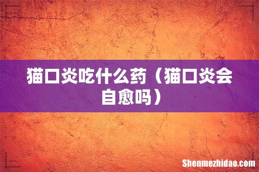 猫口炎会自愈吗 猫口炎吃什么药