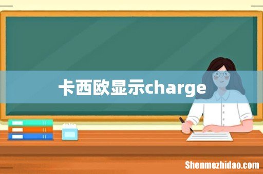 卡西欧显示charge