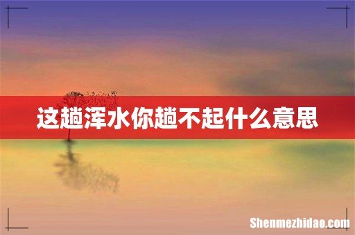 这趟浑水你趟不起什么意思