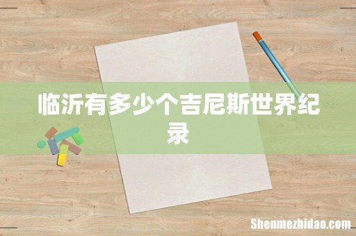 临沂有多少个吉尼斯世界纪录