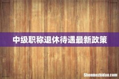 中级职称退休待遇最新政策