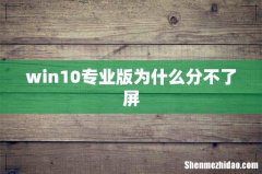 win10专业版为什么分不了屏