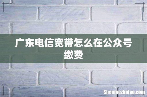 广东电信宽带怎么在公众号缴费