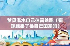 猫咪跑丢了会自己回家吗 梦见涨水自己往高处跑