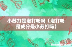 泡打粉是成分是小苏打吗 小苏打是泡打粉吗