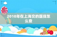 2010年在上海交的医保怎么查