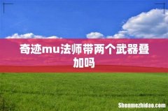 奇迹mu法师带两个武器叠加吗