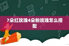 7朵红玫瑰4朵粉玫瑰怎么搭配