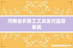 河南省农民工工资支付监管系统