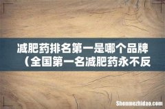 全国第一名减肥药永不反弹 减肥药排名第一是哪个品牌