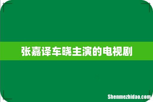 张嘉译车晓主演的电视剧