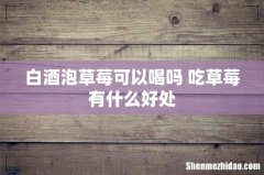 白酒泡草莓可以喝吗 吃草莓有什么好处