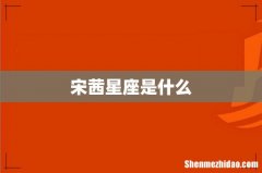 宋茜星座是什么